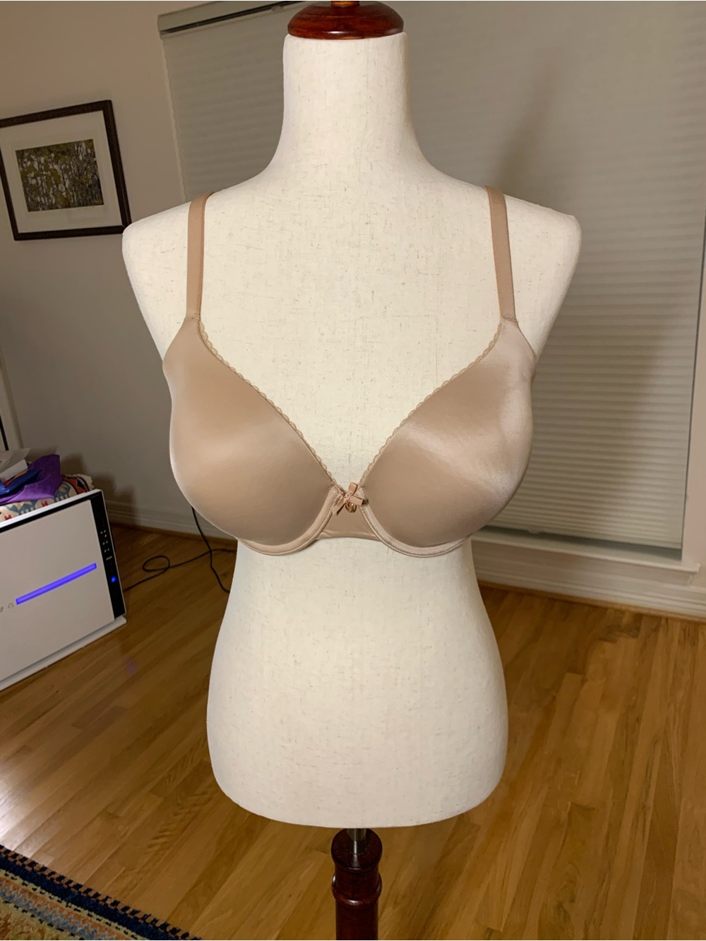 Victoria’s Secret 34DD Perfect Shape Smooth Push-Up Bra in Nude, EUC